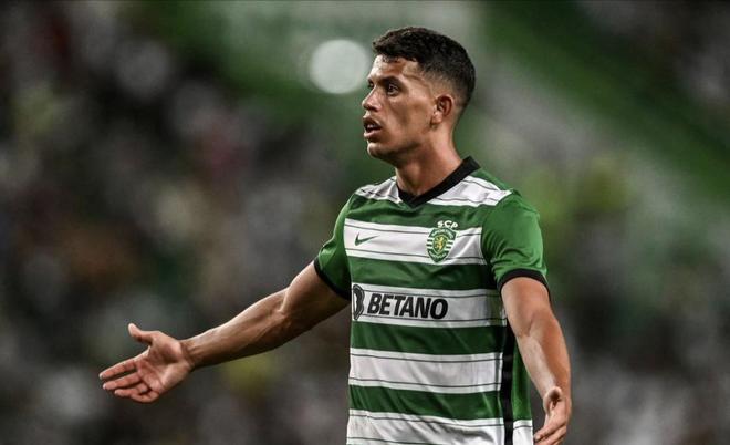 钦文的一些 钦文的一些