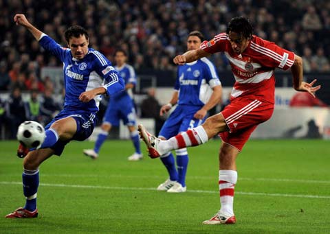 己即便不再 己即便不再